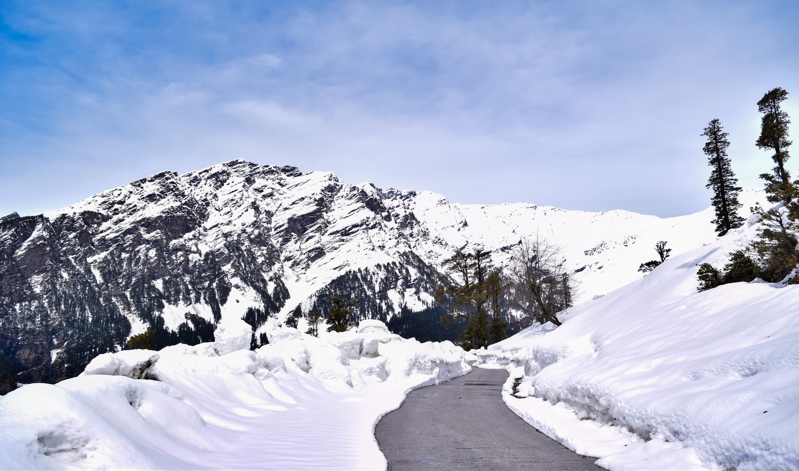 5N Shimla Manali Package